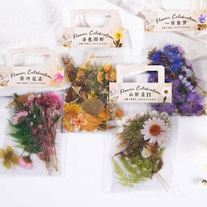 40 stickers fleurs pressées, stickers plantes, stickers botaniques, stickers floraux, stickers bouquet, fleurs séchées pour le scrapbooking et plus