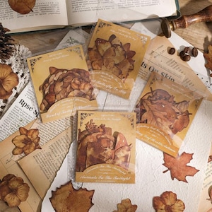 May include: A set of vintage-style stickers featuring brown and beige floral and leaf designs. The stickers are packaged in clear plastic bags with brown paper backing. The text on the bags reads "Animals In The Twilight" and "Falling Leaf Moments, Autumn".