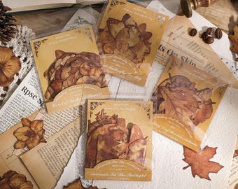 Nature Stickers, Deco Stickers, Fall Stickers, Dry Leaves, Mushrooms,Forest,Butterfly Stickers, Junk Journal Kits, Vintage Journal Stickers