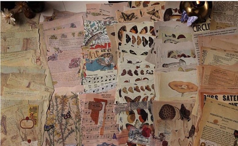 May include: A collection of vintage paper ephemera featuring butterflies, mushrooms, and musical notes. The papers are in various shades of brown, cream, and pink, with some featuring text and illustrations.