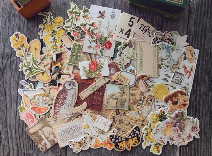 260pcs/lot Vintage Scrapbook Supplies Pack Junk Journal Planners Flower  Bird Plant Stickers Collage DIY Album Aesthetic Stickers