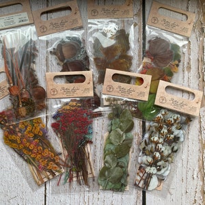 Getrocknete Pflanzen Aufkleber, Pflanzen Aufkleber, Botanische, Blumen Aufkleber, Blumenstrauß, gepresste Blumen Aufkleber, 20 gedruckte Herbarium Aufkleber