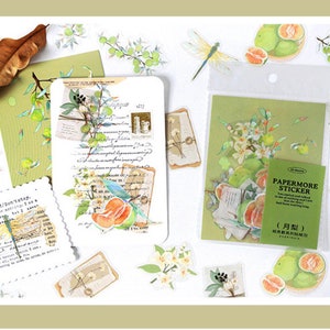 30 Stück klare Journal Aufkleber, Pflanzen Aufkleber, Goldfisch Aufkleber, Deko Aufkleber, PET für Planer, Journaling, Scrapbook