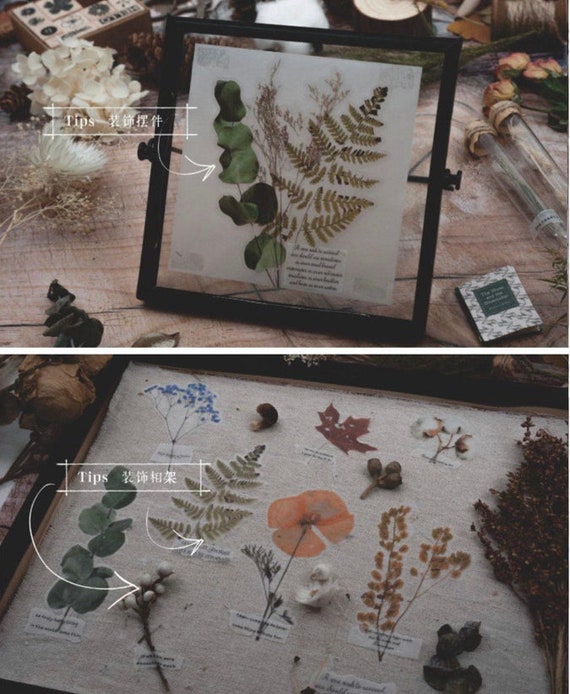 Herbarium sticker   – PLANTS HAPPY