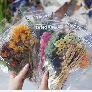 Conjunto de adesivos grandes de flores secas, adesivos de plantas, adesivos botânicos, adesivos florais, buquê, adesivos de flores prensadas para scrapbooking