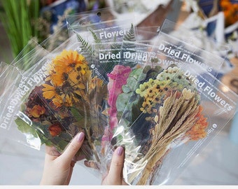 Large Dried Flower Stickers Set, Plants Stickers, Botanical Stickers, Floral Stickers, Bouquet, Pressed Flowers Stickers for Scrapbooking