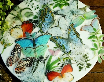 Paquete de 50 pegatinas con temática de bosque de mariposas, pegatinas de mariposas, pegatinas de plantas, kit de diario vintage para scrapbooking y diario.