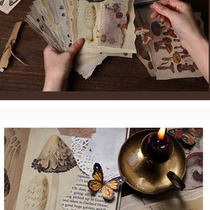 May include: A set of vintage-style paper ephemera featuring illustrations of mushrooms and butterflies. The paper is aged and has a distressed look, giving it a rustic charm. The ephemera is perfect for scrapbooking, journaling, or crafting.