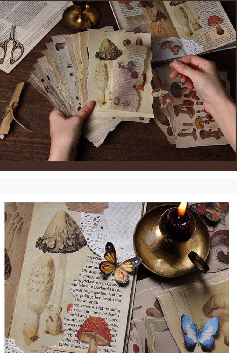 May include: A set of vintage-style paper ephemera featuring illustrations of mushrooms and butterflies. The paper is aged and has a distressed look, giving it a rustic charm. The ephemera is perfect for scrapbooking, journaling, or crafting.