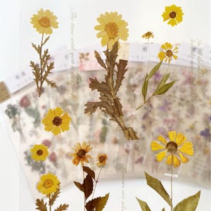 Hoja de pegatinas de flores prensadas, pegatinas de plantas, pegatinas de diario, pegatinas de PET, pegatinas florales, pegatinas decorativas para diario, planificador, álbum de recortes