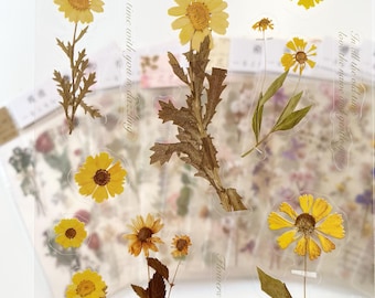 Pressed Flower Sticker Sheet, Plants Stickers, Journal Stickers, PET Stickers, Floral Stickers, Deco Stickers for Journal, Planner,Scrapbook