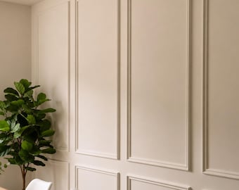 May include: A wall featuring off-white rectangular molding panels arranged in a grid pattern. The wall is painted in a solid matte off-white color, creating a structured surface with vertical and horizontal trim pieces forming distinct sections.