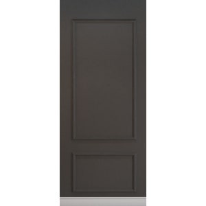 May include: A dark gray, paneled door with rectangular raised panels. The door has a simple, elegant design, suitable for interior use. The door is set against a white wall.