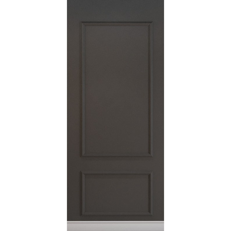 May include: A dark gray, paneled door with rectangular raised panels. The door has a simple, elegant design, suitable for interior use. The door is set against a white wall.