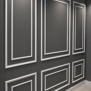 May include: A dark gray wall featuring white rectangular molding panels arranged in a grid pattern. The wall surface is smooth and matte, while the raised white trim creates a structured, geometric design across the entire vertical surface.