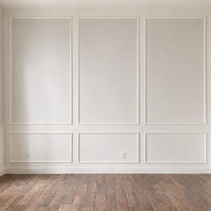 May include: A wall featuring white wainscoting with three large rectangular upper panels and three smaller rectangular lower panels. The wall is painted a solid off-white color and includes two electrical outlets. The floor is dark brown wood.