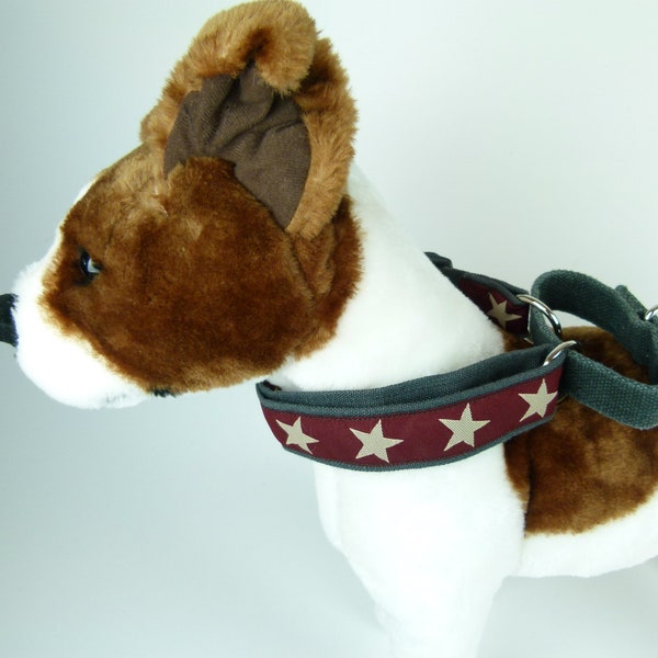 Hemp Collars and Leashes | Earth Dog | Martingale Hemp Collar | Hemp Leashes | Made in USA