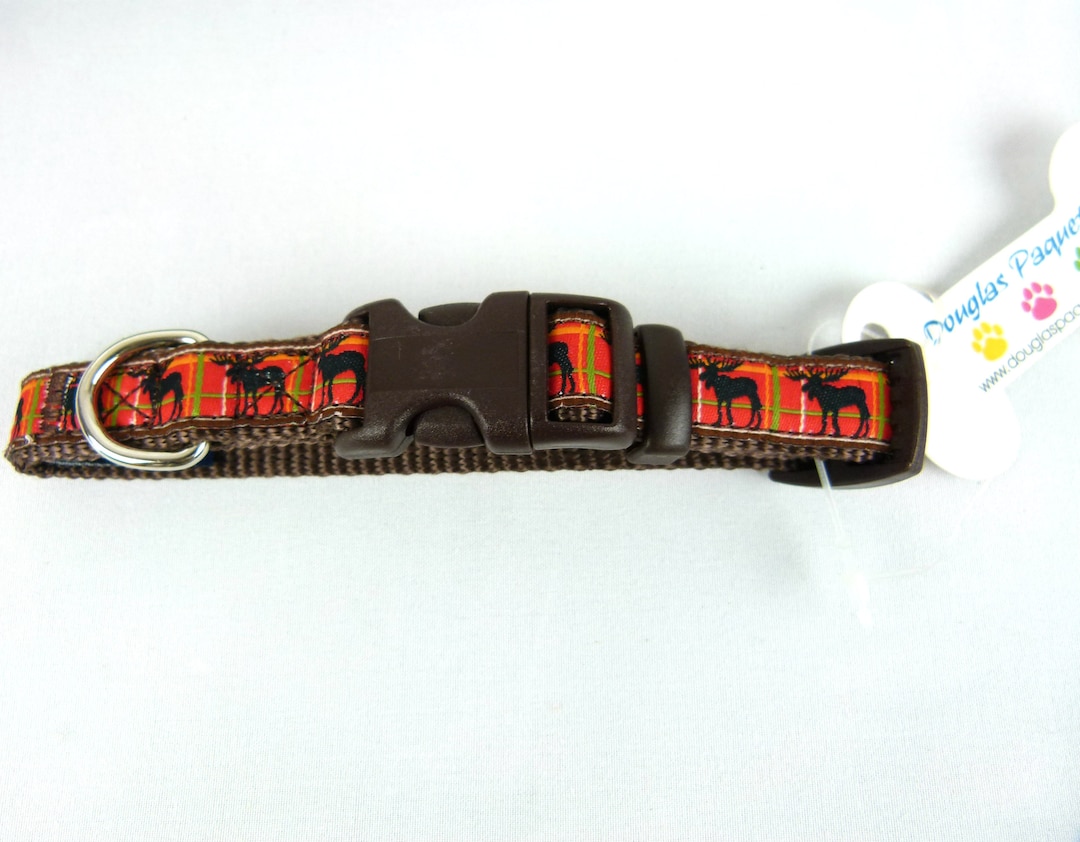 Douglas Paquette MOOSE Designer Dog Collar & Leash Sets XS Etsy