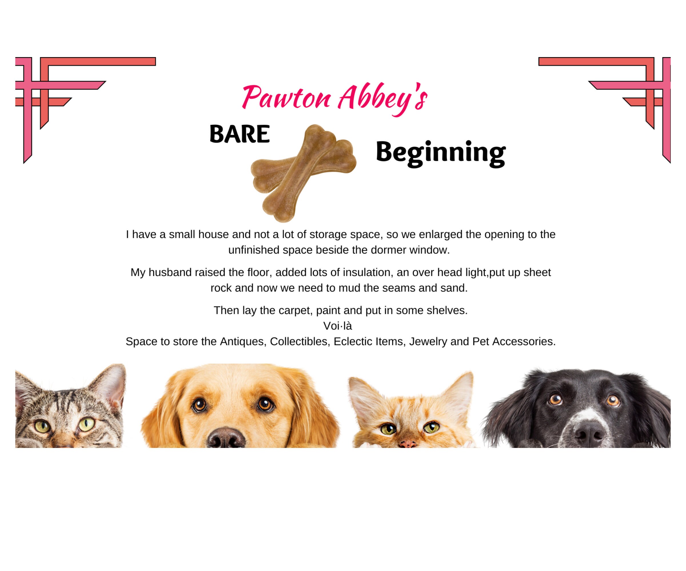 Douglas Paquette HOLLYWOOD Collars and Leashes Red bing Dog Bones