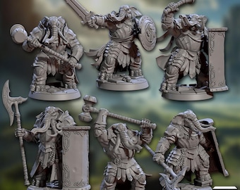 Ivory Sentinels Group (Artisan Guild) Tabletop, RPG, Pathfinder, Dnd, Priest, Sentinel, Fighter, elephant