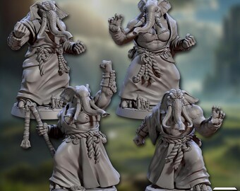 Ivory Priest Group (Artisan Guild) Tabletop, RPG, Pathfinder, Dnd, Priest, Sentinel, Fighter, elephant
