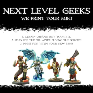 Print Service (NextLevelGeeks) Hero Forge, Artisan Guild, Eldritch Foundry, Baldur's Gate, DnD, Tabletop, Pathfinder, Hero, Player, Mount
