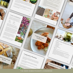 The New Homesteader's Handbook image 2