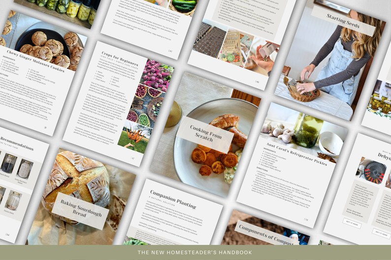 The New Homesteader's Handbook image 2