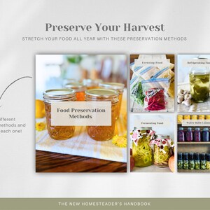May include: A collage of images showing different food preservation methods, including canning, freezing, fermenting, and refrigerating. The text "Food Preservation Methods" is displayed in the center of the collage.