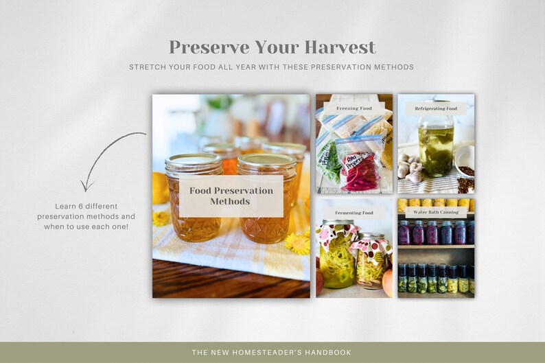 May include: A collage of images showing different food preservation methods, including canning, freezing, fermenting, and refrigerating. The text "Food Preservation Methods" is displayed in the center of the collage.
