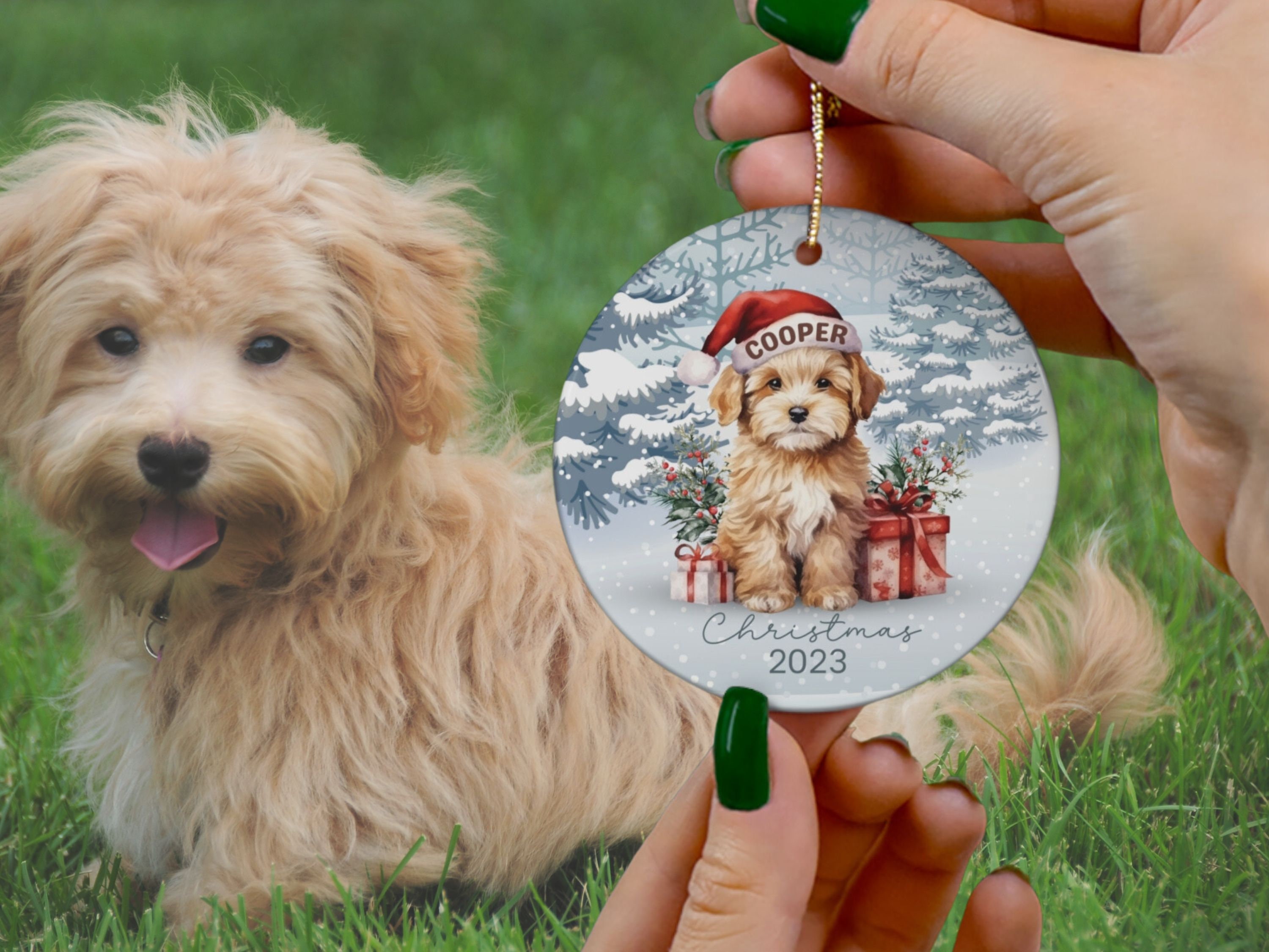 Maltipoo Christmas Ornamentmaltipoo Ornamentcustom Dog Ornamentmaltipoo Dogmaltipoo Gifts