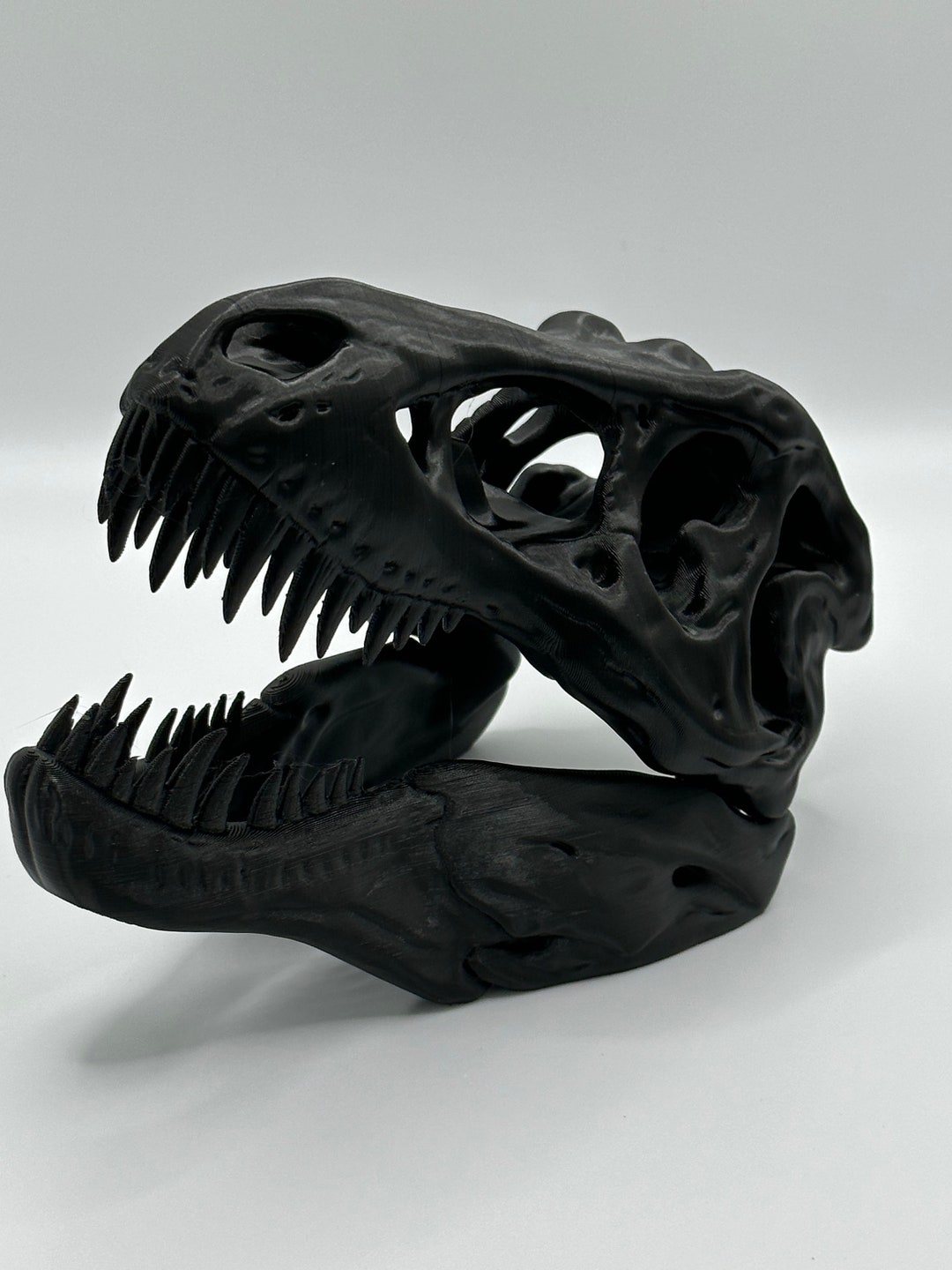 Modèle De Crâne De Dinosaure En Résine – Réplique Réaliste 12,5 Cm – Déco Bureau, Outil Pédagogique