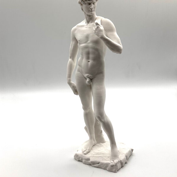 Skulptur des David von Michelangelo / 20 cm Antike Kunst / Dekoration und Geschenk.