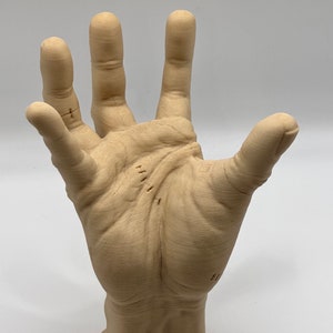 Puede incluir: Una escultura realista y detallada de una mano humana, realizada en un color marr&oacute;n claro. La mano est&aacute; abierta, con los cinco dedos extendidos. La escultura parece estar hecha de madera o un material similar.