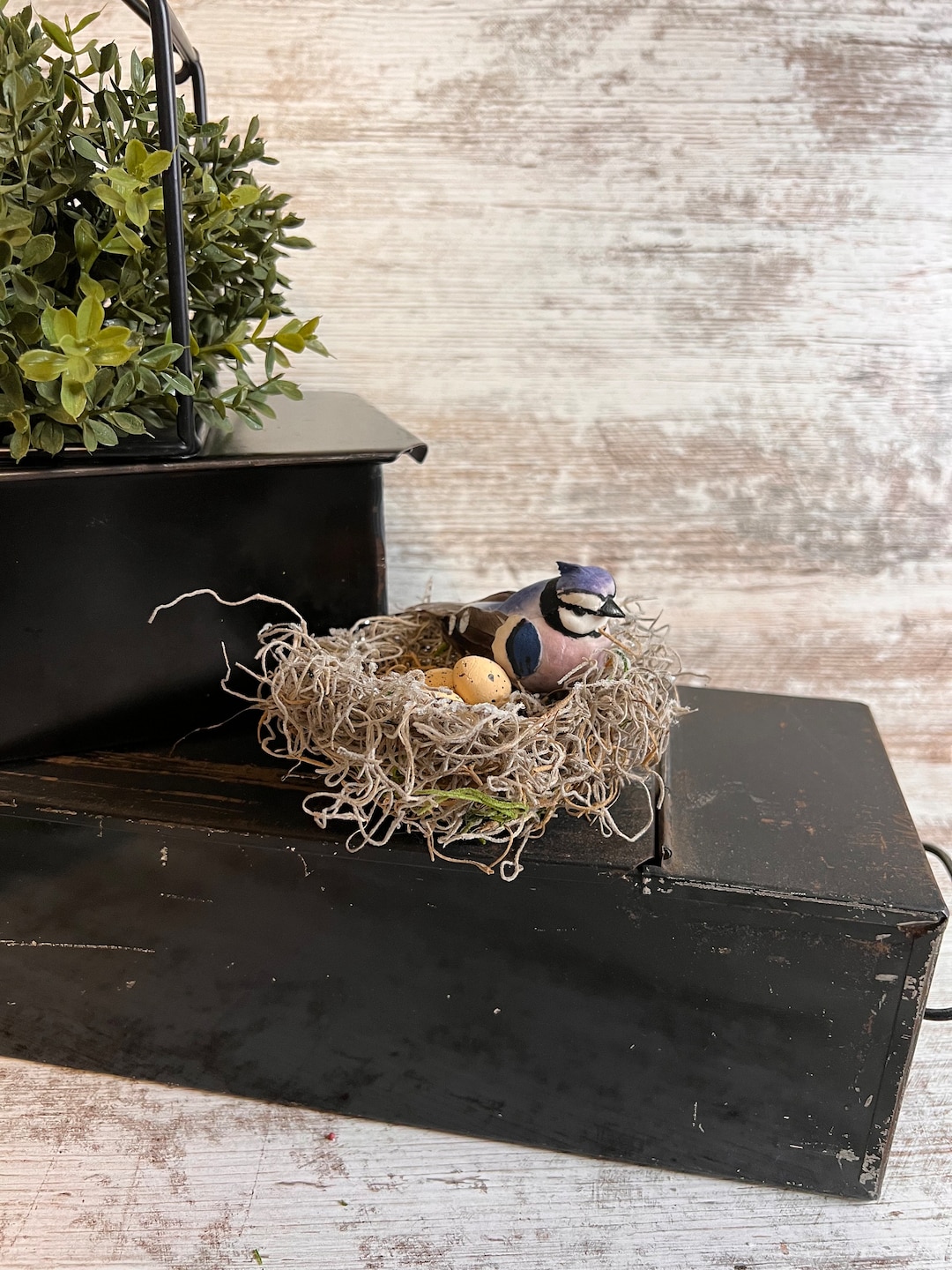 Birds Nest Winter Bird Nest Blue Jay Etsy