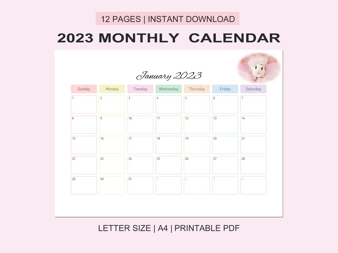 2023 Monthly Calendars Editable Calendar Letter Size - Etsy