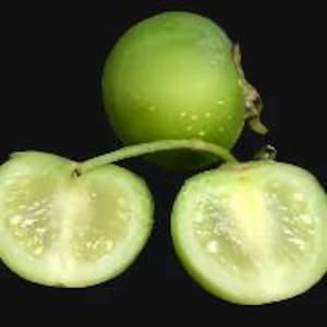 May include: Three green tomatillos against a black backdrop. A whole tomatillo sits at the top, with two halves below. The tomatillos are round with smooth skin and a light green colour.