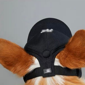 Cool dog cap