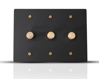 Rotary dimmer switch -  black brass wall plate