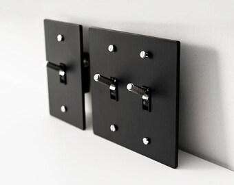 Silver toggle switch in black brass plate