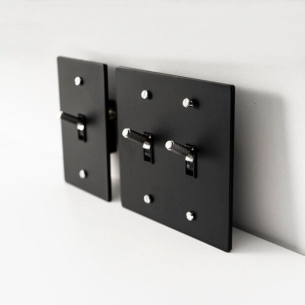 Silver toggle switch in black brass plate