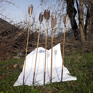 Viking Arrow