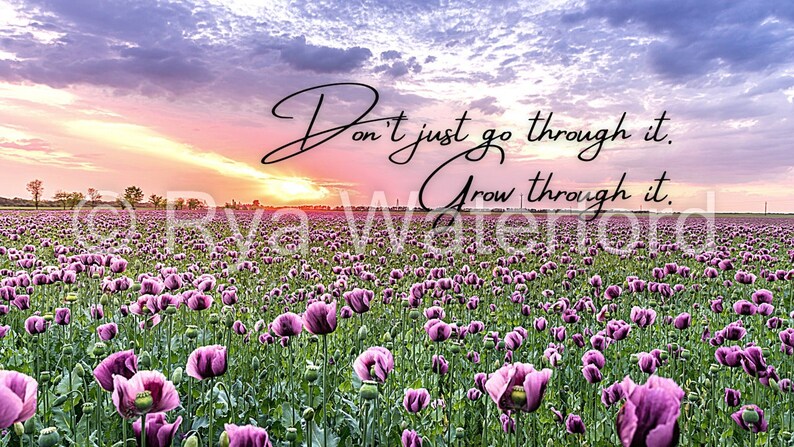 Grow Through It - Facebook Cover Image - Etsy