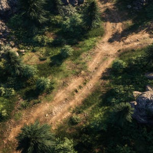 Può includere: Vista aerea di un incrocio di strade sterrate in una foresta. La strada è marrone e polverosa, circondata da erba verde, piccoli cespugli e alti alberi sempreverdi. La scena è ben illuminata, con ombre degli alberi.
