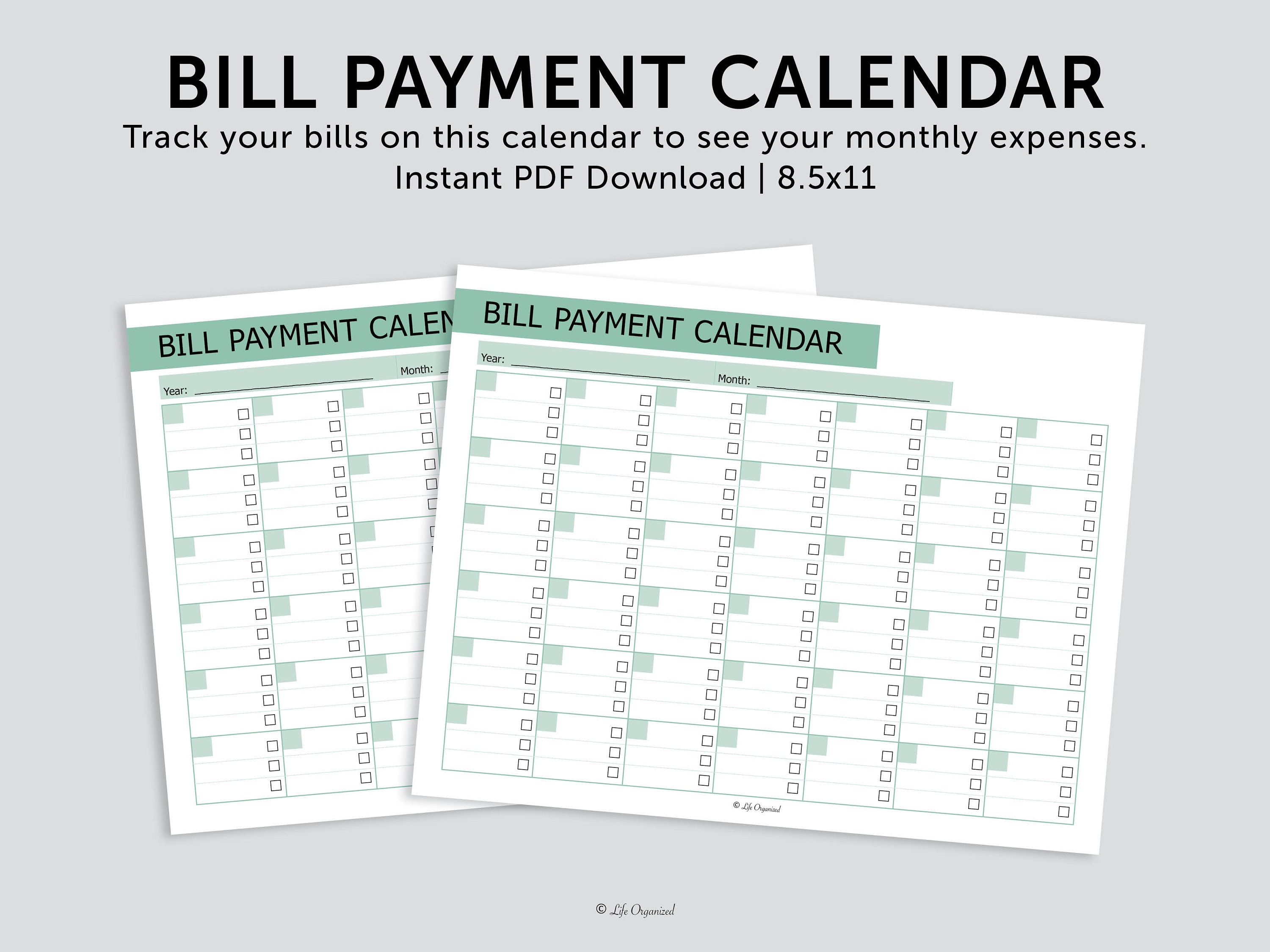 Monthly Bill Payment Tracker, Printable Bill Payment Checklist, Bill Planner,  Monthly Bill Log, Pay Checklist Organizer, Budget Planner 