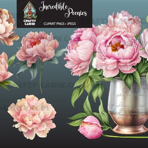 Hermosas peonías rosadas clipart