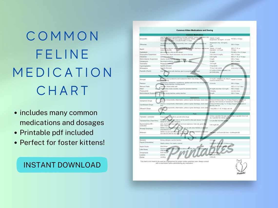 Kitten Common Medication Guide Chart Etsy