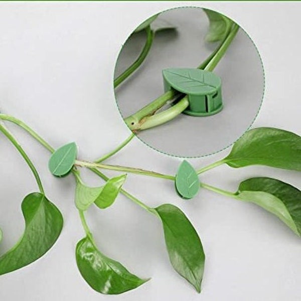 Plant climbing wall fixture clip