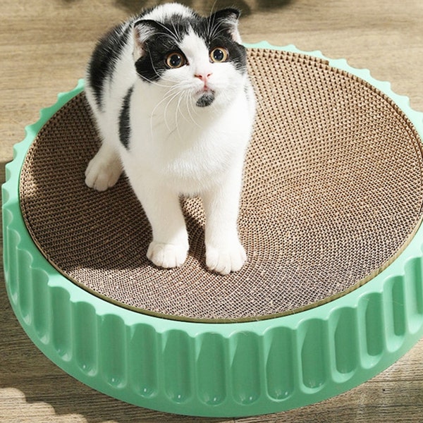 Cat Scratching Post and Bed Etsy