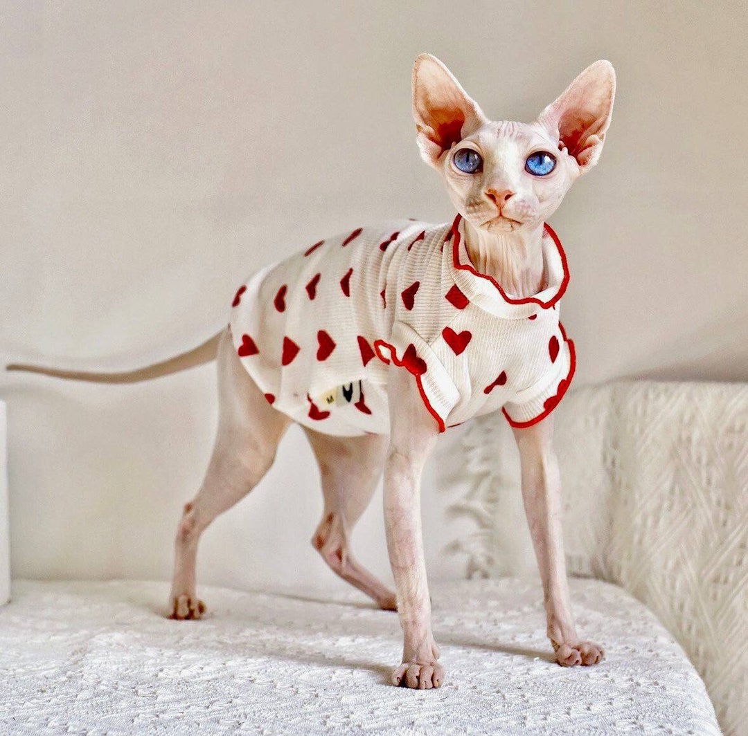 Sphynx Clothes Siamese Cat Clothes Cat Summer Shirt Summer Etsy